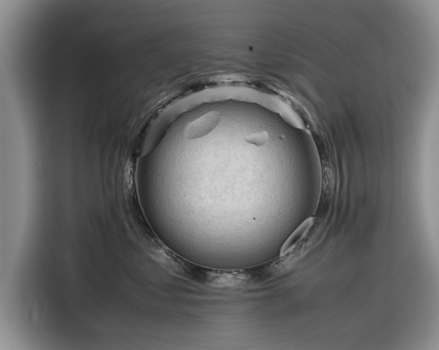 X0000116260621200912071023