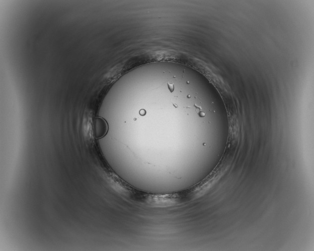 X0000116260622200912071023