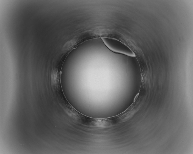 X0000116260623200912071023