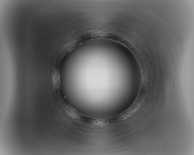 X0000116260624200912071023