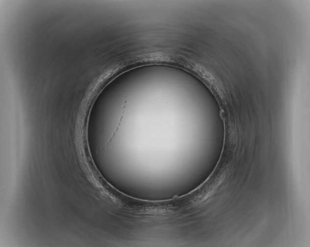 X0000116260625200912071023