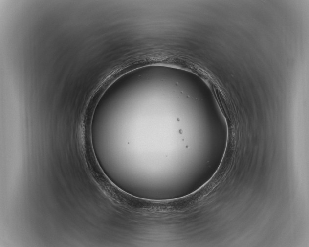 X0000116260626200912071023