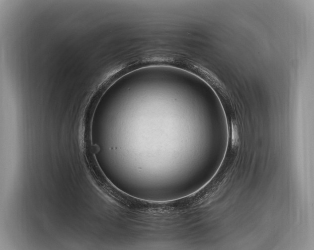 X0000116260627200912071023