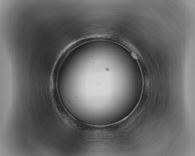 X0000116260628200912071023