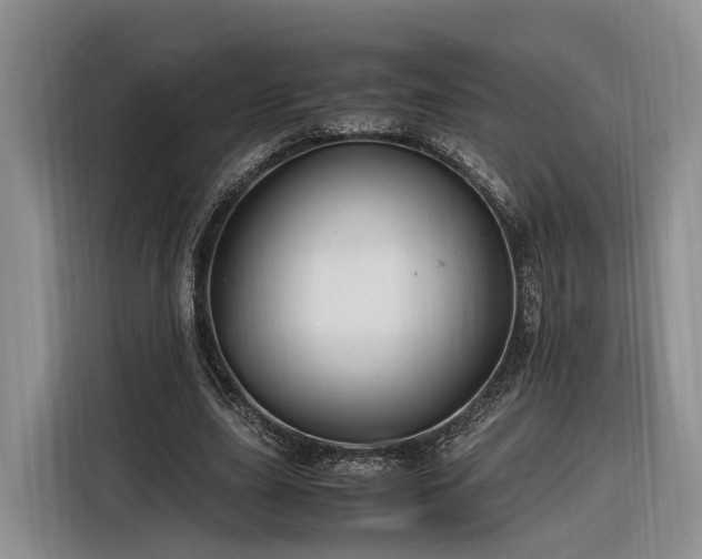 X0000116260631200912071023