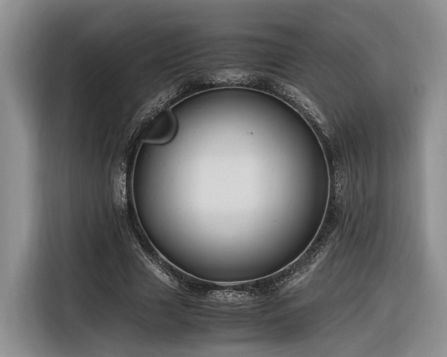 X0000116260633200912071023