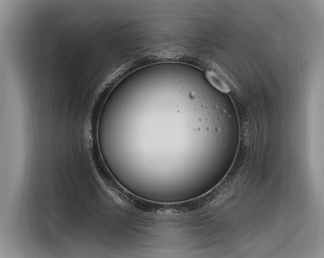 X0000116260634200912071023