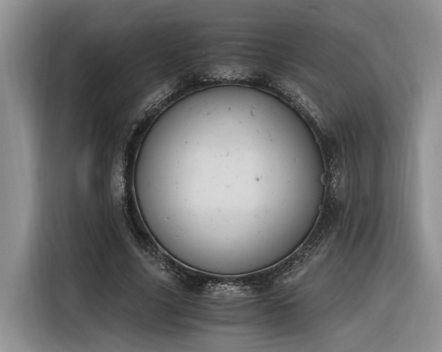 X0000116260635200912071023