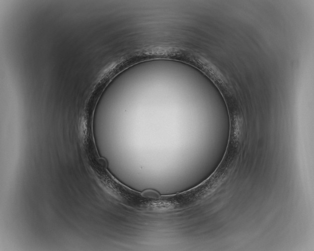 X0000116260636200912071023