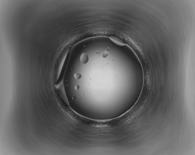 X0000116260637200912071023