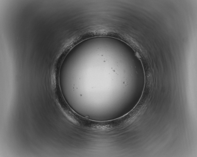 X0000116260638200912071023