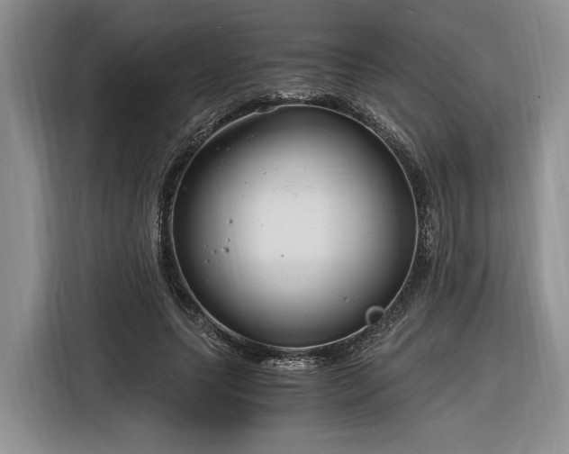 X0000116260639200912071023