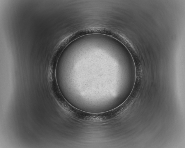 X0000116260640200912071023