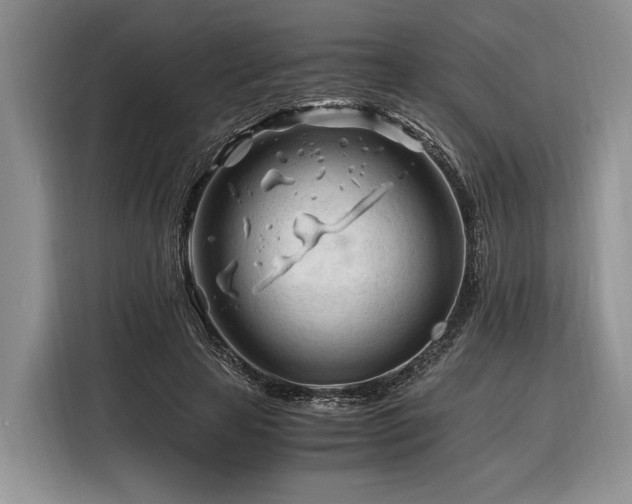X0000116260641200912071023