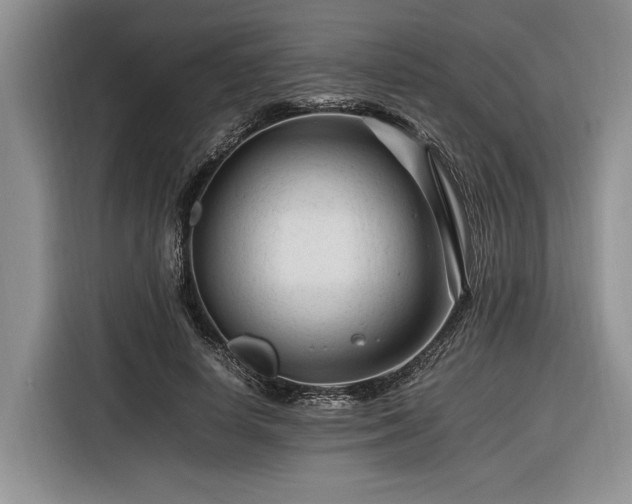 X0000116260642200912071023