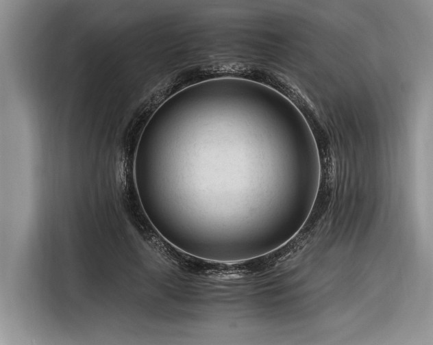 X0000116260643200912071023