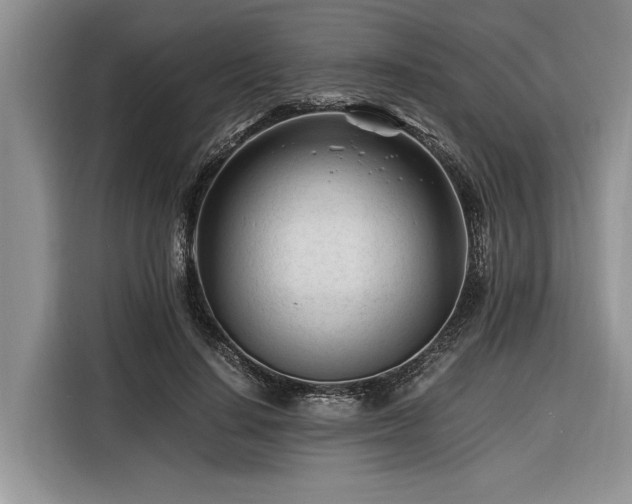 X0000116260644200912071023