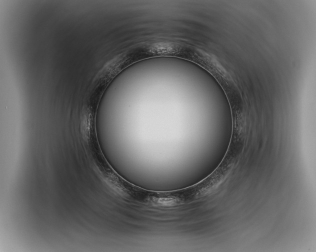 X0000116260645200912071023