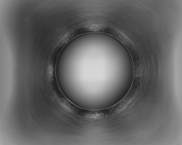 X0000116260646200912071023