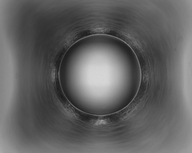 X0000116260647200912071023