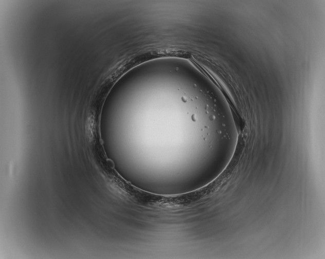 X0000116260648200912071023