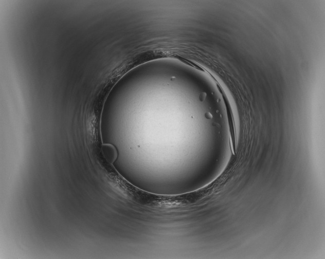 X0000116260650200912071023