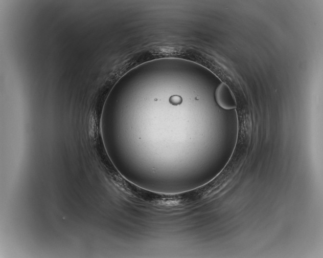 X0000116260651200912071023