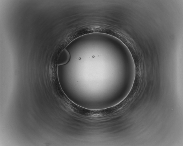 X0000116260653200912071023