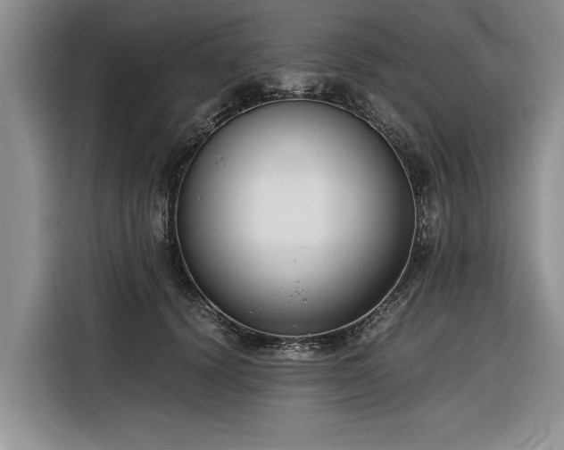 X0000116260656200912071023