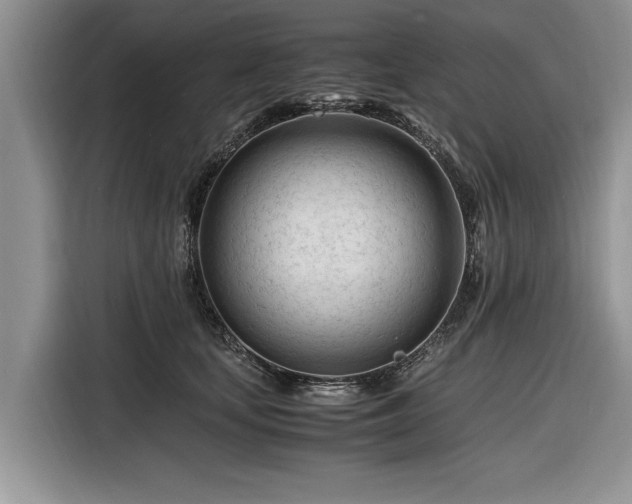 X0000116260659200912071023