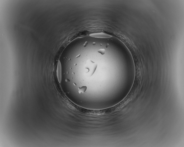 X0000116260661200912071023