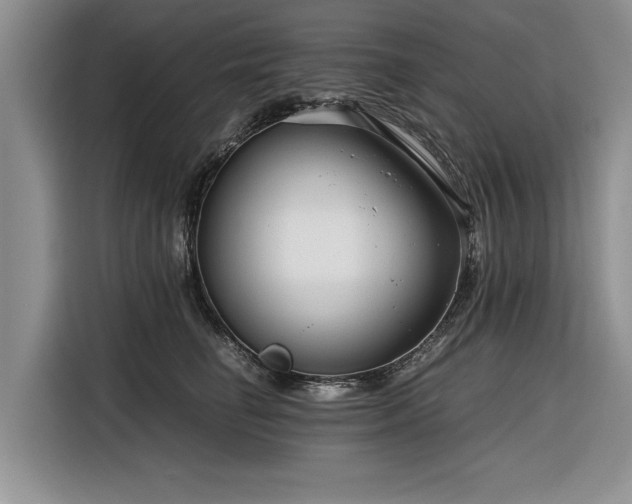 X0000116260662200912071023