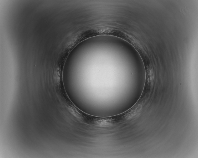 X0000116260664200912071023