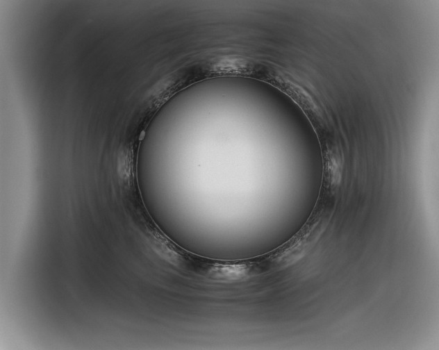 X0000116260665200912071023