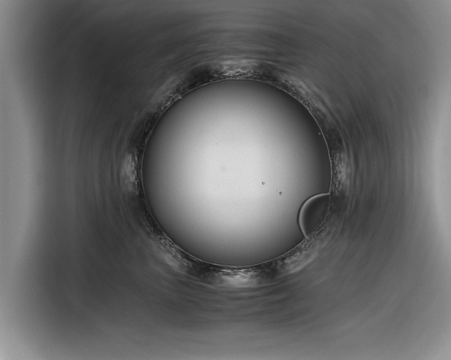 X0000116260667200912071023