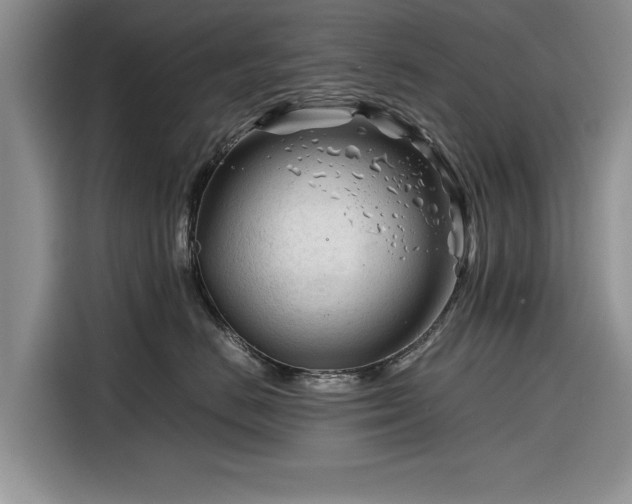 X0000116260670200912071023