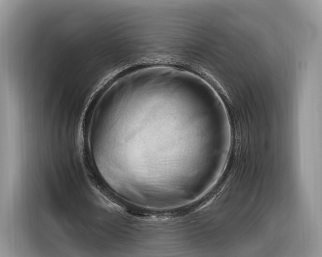 X0000116260674200912071023