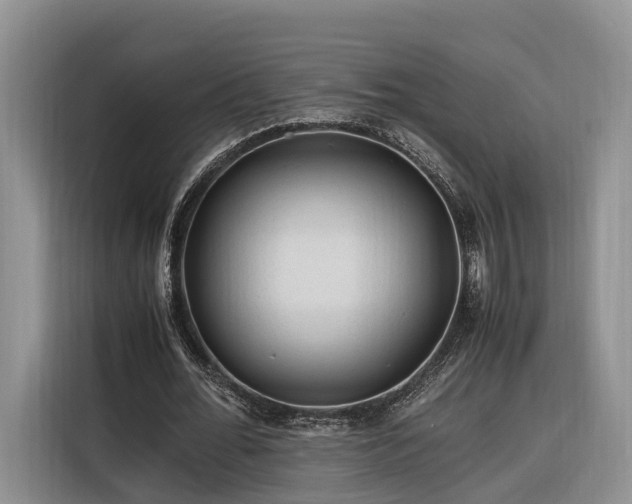 X0000116260676200912071023