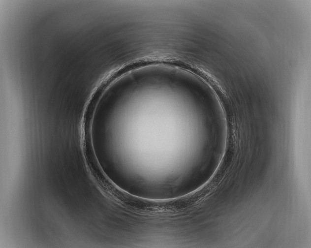 X0000116260678200912071023