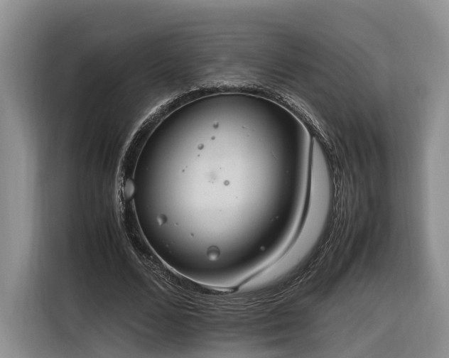X0000116260680200912071023