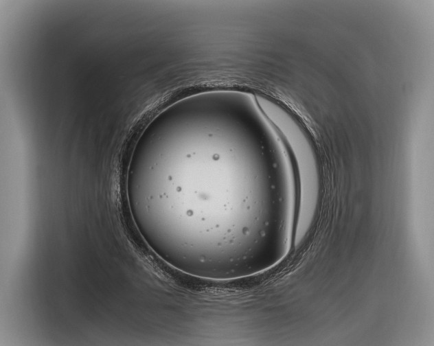 X0000116260681200912071023