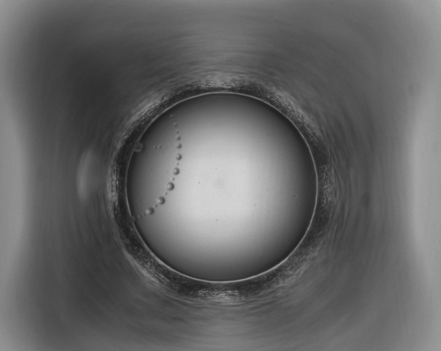 X0000116260683200912071023