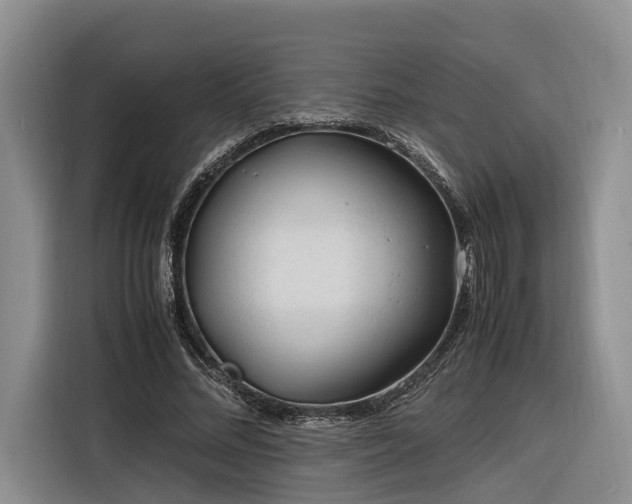 X0000116260684200912071023