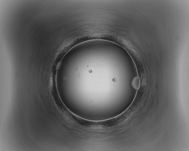 X0000116260685200912071023