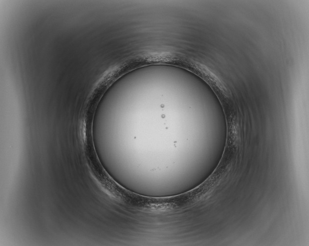X0000116260686200912071023