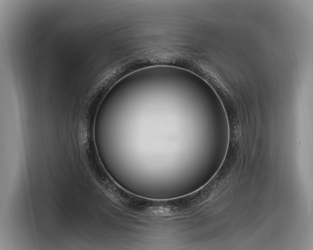 X0000116260687200912071023