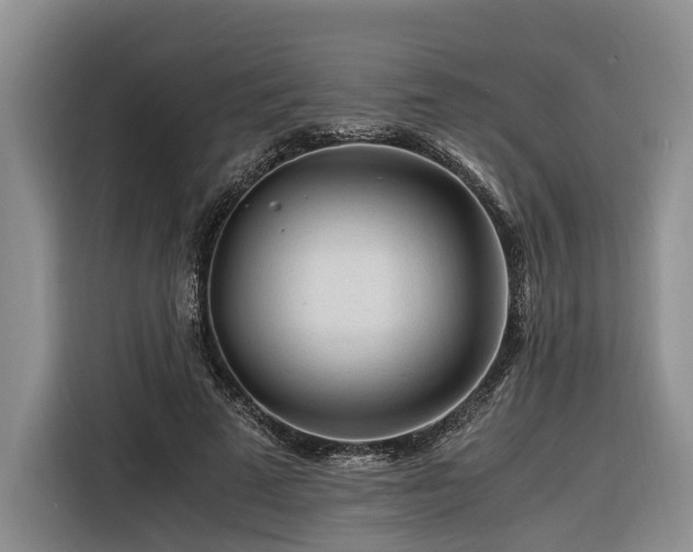 X0000116260689200912071023