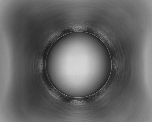 X0000116260690200912071023