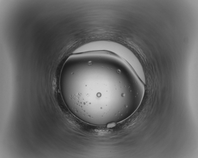 X0000116260693200912071022