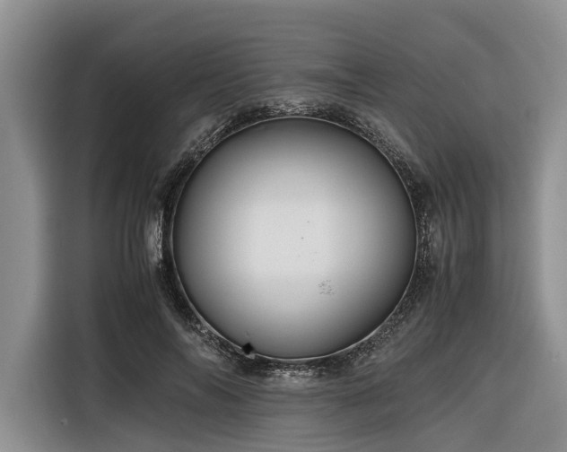 X0000116260694200912071022